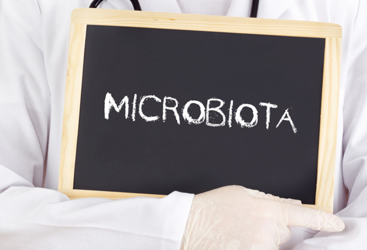 Microbiote fécal et spondylarthrites - Medi-Sphere