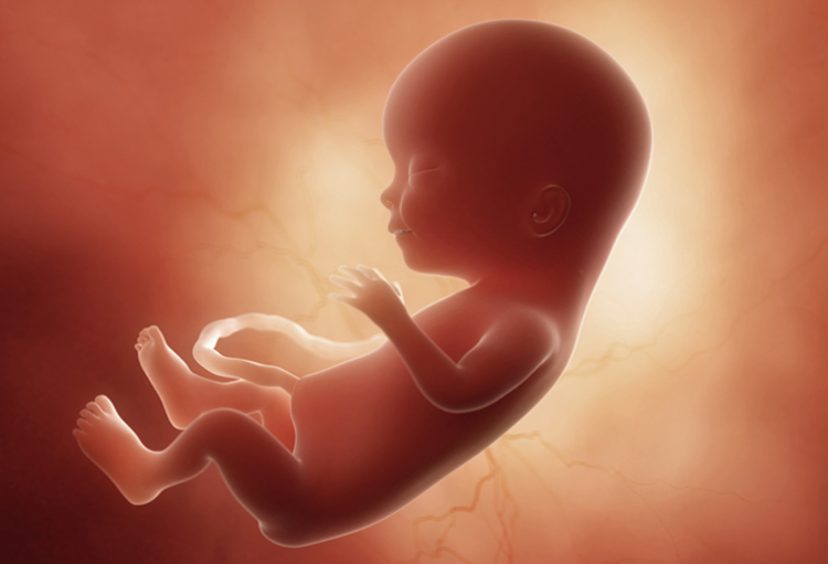 Kaap binnenkort Denken Foetus al na 12 weken zwangerschap in aanraking met roetdeeltjes -  Medi-Sfeer