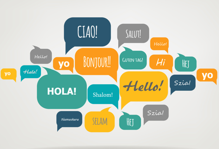 Seminarie 'Multiculturalisme in de gezondheidszorg: uitdagingen voor de geneeskunde, de ethiek en het recht'