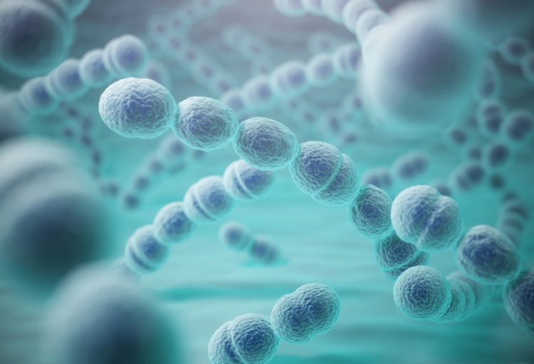 Hoe Loop Je Streptokokken Op