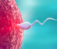 L’IA au service de la fertilité : un couple conçoit après 18 ans d’infertilité grâce à une technologie inédite