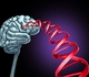 Epilepsie: het spoor van oligogene overerving verkend via exoomanalyse