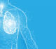 Une première évaluation de la TDM à comptage photonique pour la navigation endobronchique virtuelle