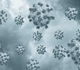 Des centaines de personnes contaminées par le norovirus dans la région du lac de Garde